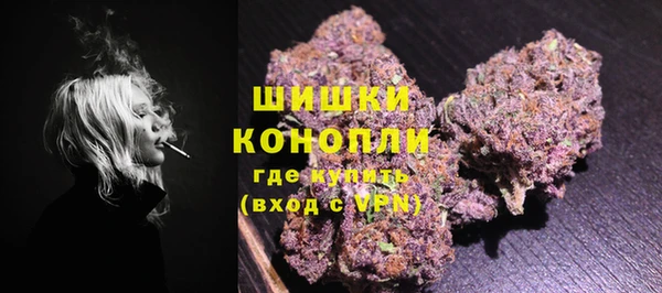 ECSTASY Белокуриха