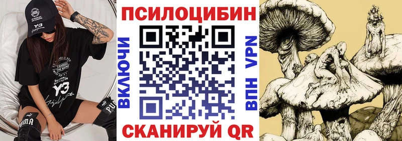 закладка  Козьмодемьянск  Псилоцибиновые грибы прущие грибы 